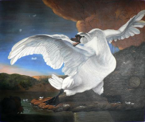 The Threatened Swan